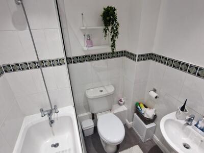 Picture 7